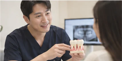 치아 모형으로 치료 범위를 설명하는 상담 장면